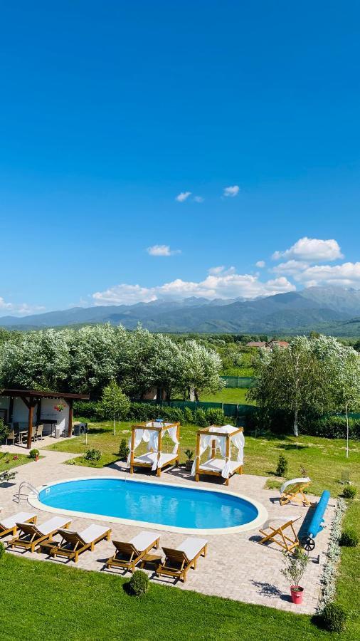 Epic House Valea Avrigului Villa Exterior photo
