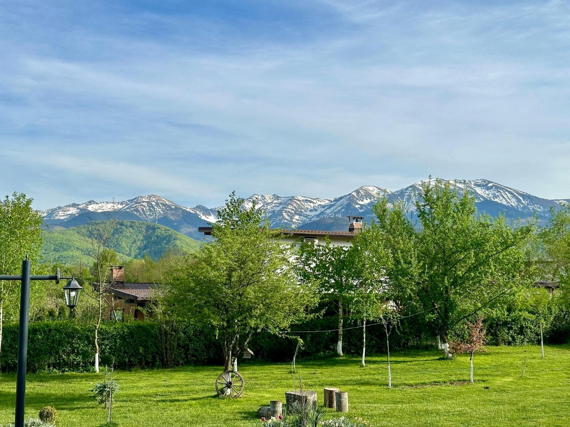 Epic House Valea Avrigului Villa Exterior photo